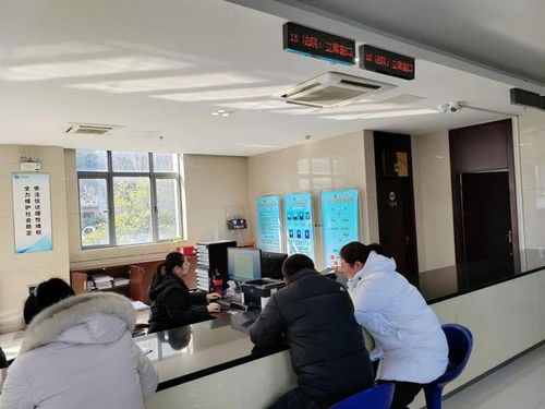 便捷惠民 延伸訴訟服務(wù)，啟東法院開通全國戶籍人口信息查詢功能